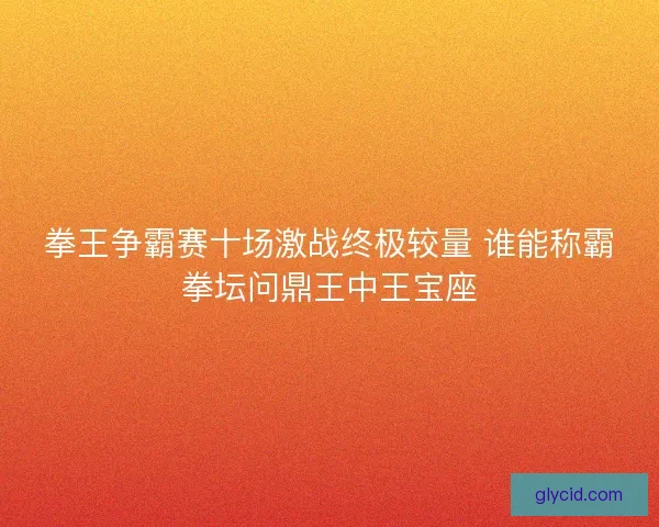 拳王争霸赛十场激战终极较量 谁能称霸拳坛问鼎王中王宝座